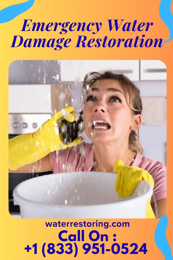 Emergency Water Damage Restoration in Adairsville, GA