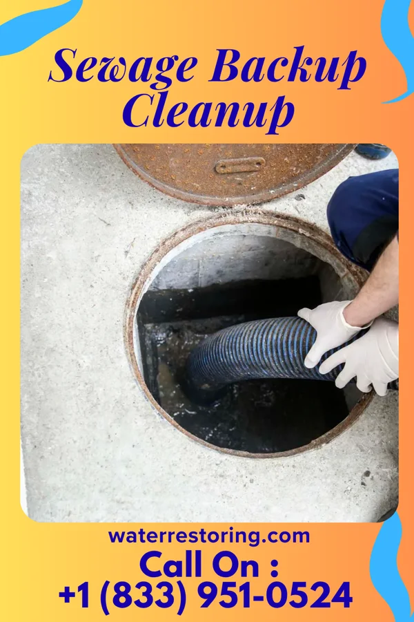 Sewage Backup Cleanup in Adairsville, GA